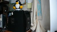 Les chats et la technologie