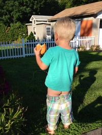 Tous les matins, je pisse dans le jardin 