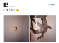 Help me