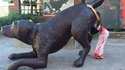 Le goût d'un chien semble meilleur...