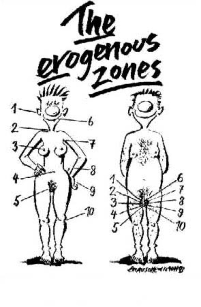 Un cours d'anatomie : la comparaison entre les zones érogènes masculines et féminines