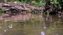 Dame Nature, magnifique et impitoyable 10 