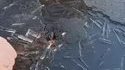 Briser la glace