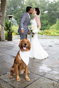Photo de mariage