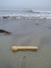 Trouvaille marine