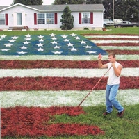 Pelouse patriote