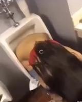 Pendant ce temps là dans les toilettes 