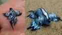 WTF ? Bestiole inconnue au bataillon !
