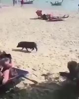 Une erreur ça peut arriver à toute le monde