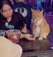 Quand tu détestes ton job 