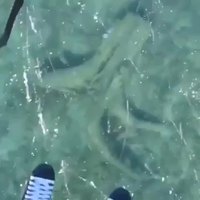 Lac gelé avec une belle vue 