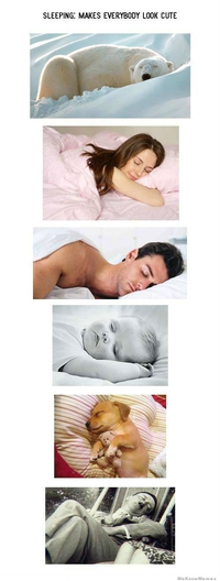 Tout le monde est mignon quand il dort
