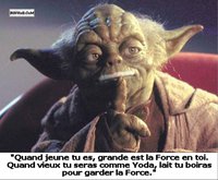 Yoda et le lait
