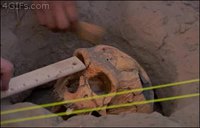 Régis chez les archéologues