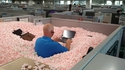 Un bureau bien douillet