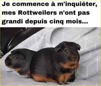 Attention aux arnaques sur lbc