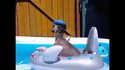 Un chien avec un chapeau sur un requin