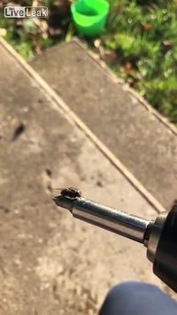 T'as fais quoi ce week end ?