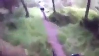 Petite surprise lors d'une balade en forêt