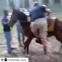 Quand le cheval ne veut pas de toi