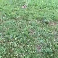 What the fuck are you doing?