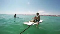 Un calmar géant cherche de l'aide auprès d'un homme en paddle