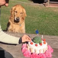 MON gâteau