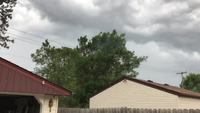 Quand un arbre rencontre une ligne à haute tension