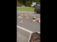 220 kg de cannabis dispersés sur une autoroute