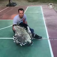 Les dindes aussi ont des sentiments