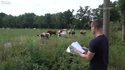 L'homme qui murmurait à l'oreille des vaches