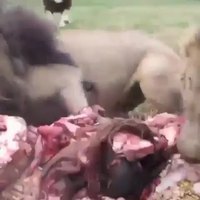 Les enfants, à table !