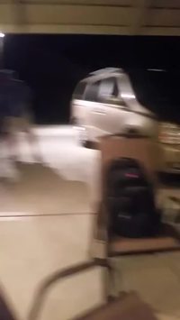 Homme vs Papillon de nuit