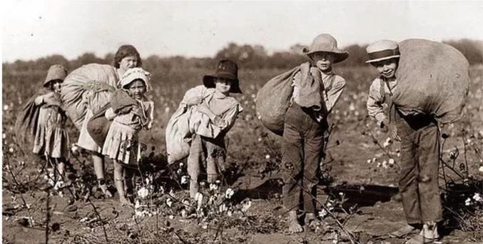 Tout le monde était mis à contribution, même les enfants des familles blanches pauvres. Il fallait faire vite surtout si des orages étaient signalés, les fleurs de coton auraient été soit abîmées, soit très longues à sécher.
