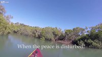 Petite aprèm de pêche tranquille