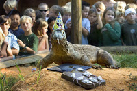 Happy Birthday...