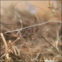 Flocon de neige