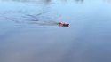 Pêche avec un bateau télécommandé