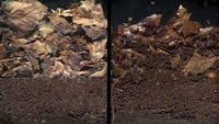 Bioturbation sans et avec faune