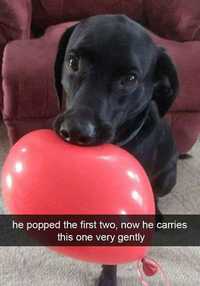 Il a éclaté les deux premiers