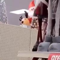 Pendant ce temps là au rayon d’à côté 