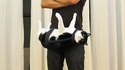 Le CatBelt