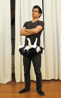 Le CatBelt