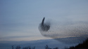 La nature a un message pour vous