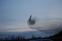 La nature a un message pour vous