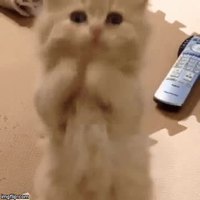 Mylo demande une augmentation à Alix