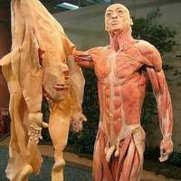 Kan t'as un peu trop bu et que ton plan cul te demande de te déshabiller