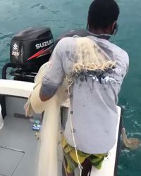 Un lancer de filet imparfait