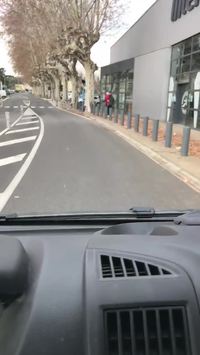 Un sanglier attaque un Intermarché