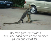 S'agit-il d'une vraie accolade?